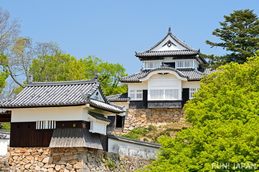 Japan's Sole Mountain Castle, Bicchu Matsuyama Castle!